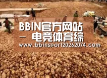种植基地二