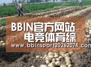 种植基地八