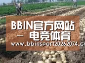 种植基地七(图1)