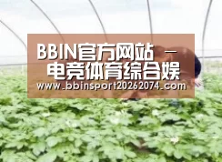 种植基地三