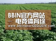 种植基地五(图1)