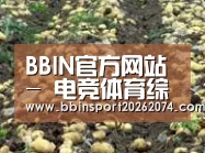 种植基地七