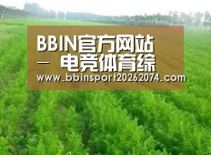 种植基地四