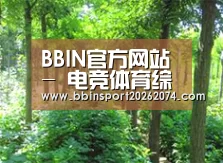 种植基地九
