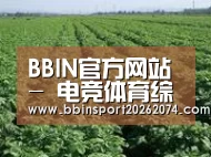 种植基地五