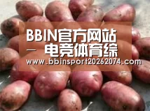 产品展示标题5(图1)