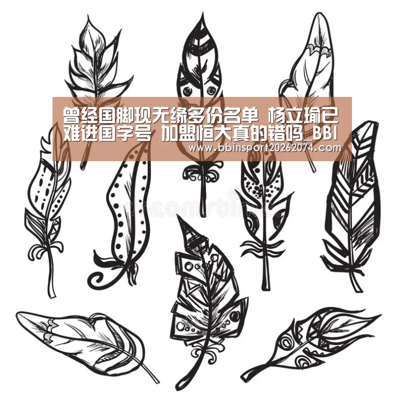 曾经国脚现无缘多份名单 杨立瑜已难进国字号 加盟恒大真的错吗_BBIN捕鱼(图1) BBIN直播