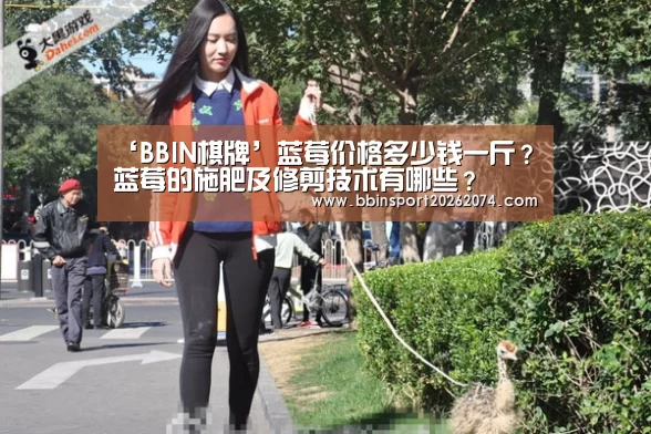 ‘BBIN棋牌’蓝莓价格多少钱一斤?蓝莓的施肥及修剪技术有哪些?(图4) BBIN下载