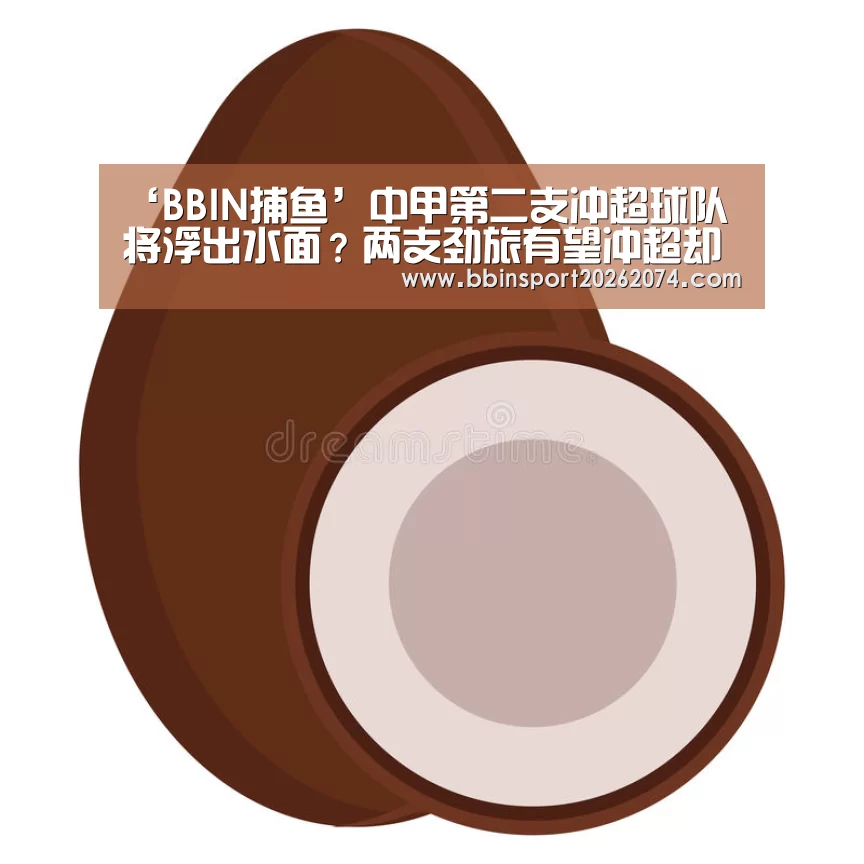 ‘BBIN捕鱼’中甲第二支冲超球队将浮出水面?两支劲旅有望冲超却自动放弃?(图1) BBIN捕鱼
