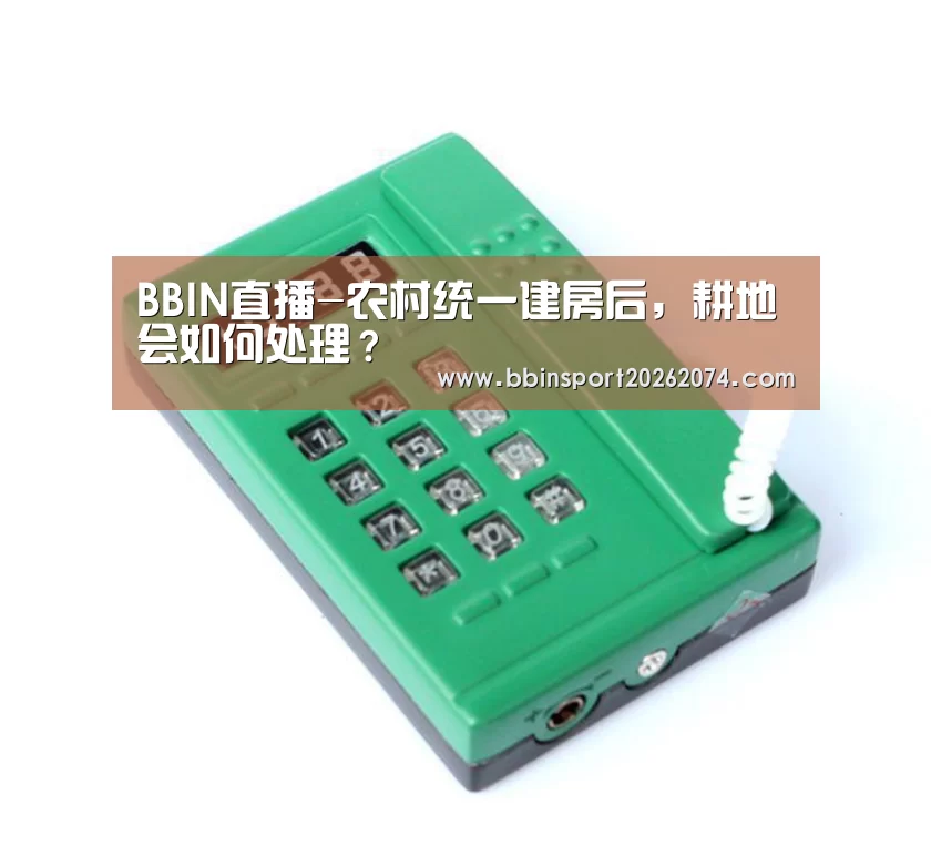BBIN直播-农村统一建房后,耕地会如何处理?(图4) BBIN直播