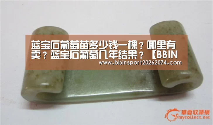 蓝宝石葡萄苗多少钱一棵?哪里有卖?蓝宝石葡萄几年结果?【BBIN棋牌】(图1) BBIN直播