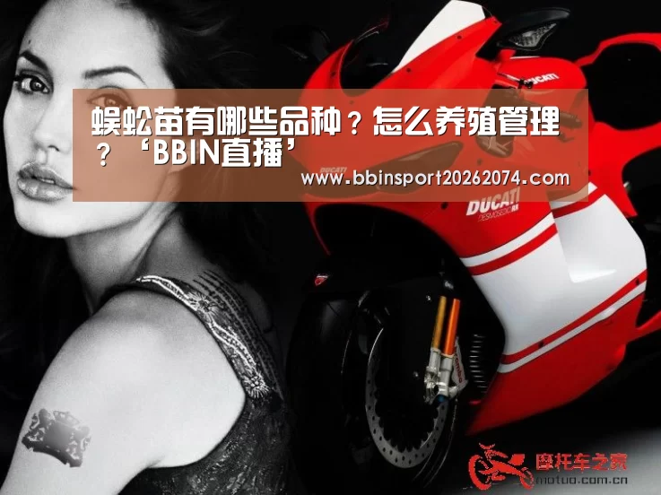 蜈蚣苗有哪些品种?怎么养殖管理?‘BBIN直播’(图4) BBIN棋牌