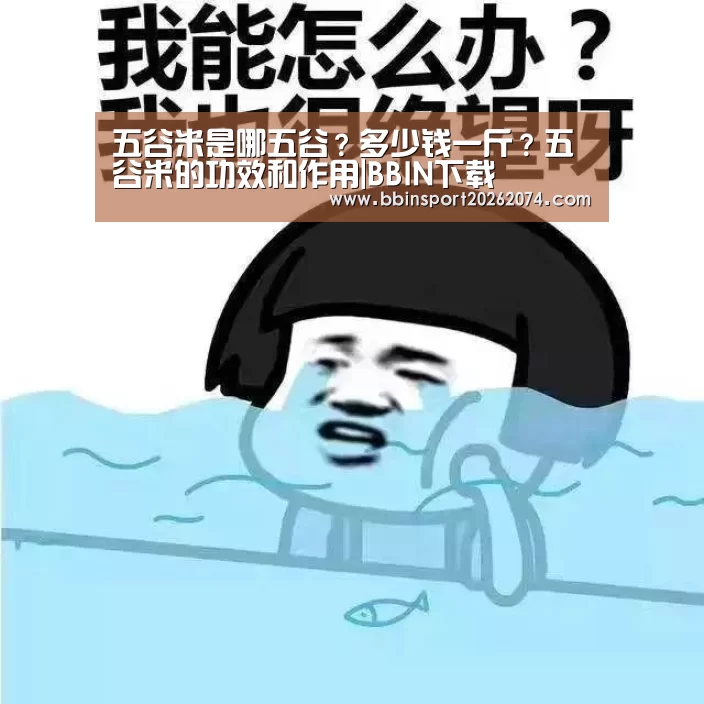 五谷米是哪五谷?多少钱一斤?五谷米的功效和作用|BBIN下载(图2) BBIN棋牌