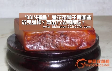 ‘BBIN捕鱼’金花茶种子有哪些优良品种?育苗方法有哪些?(图1) BBIN直播