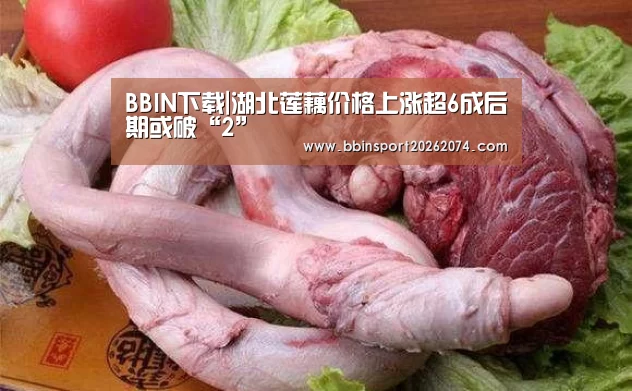 BBIN下载|湖北莲藕价格上涨超6成后期或破“2”(图3) BBIN直播