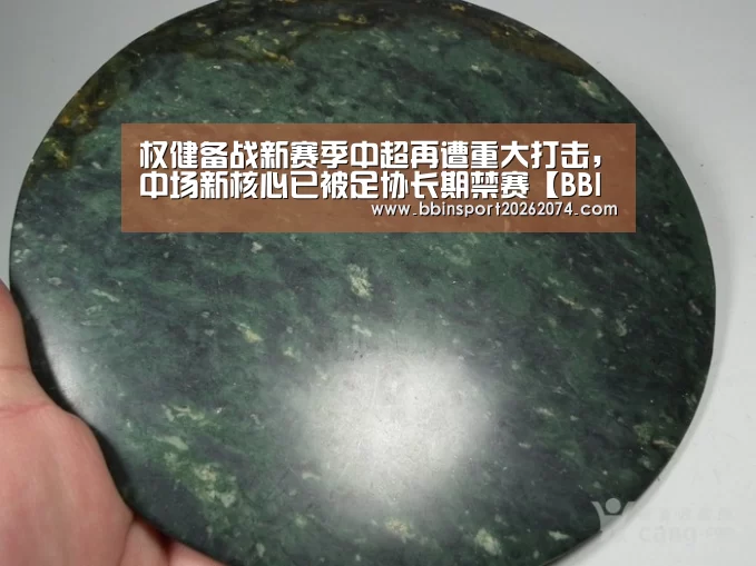 权健备战新赛季中超再遭重大打击,中场新核心已被足协长期禁赛【BBIN棋牌】(图3) BBIN下载