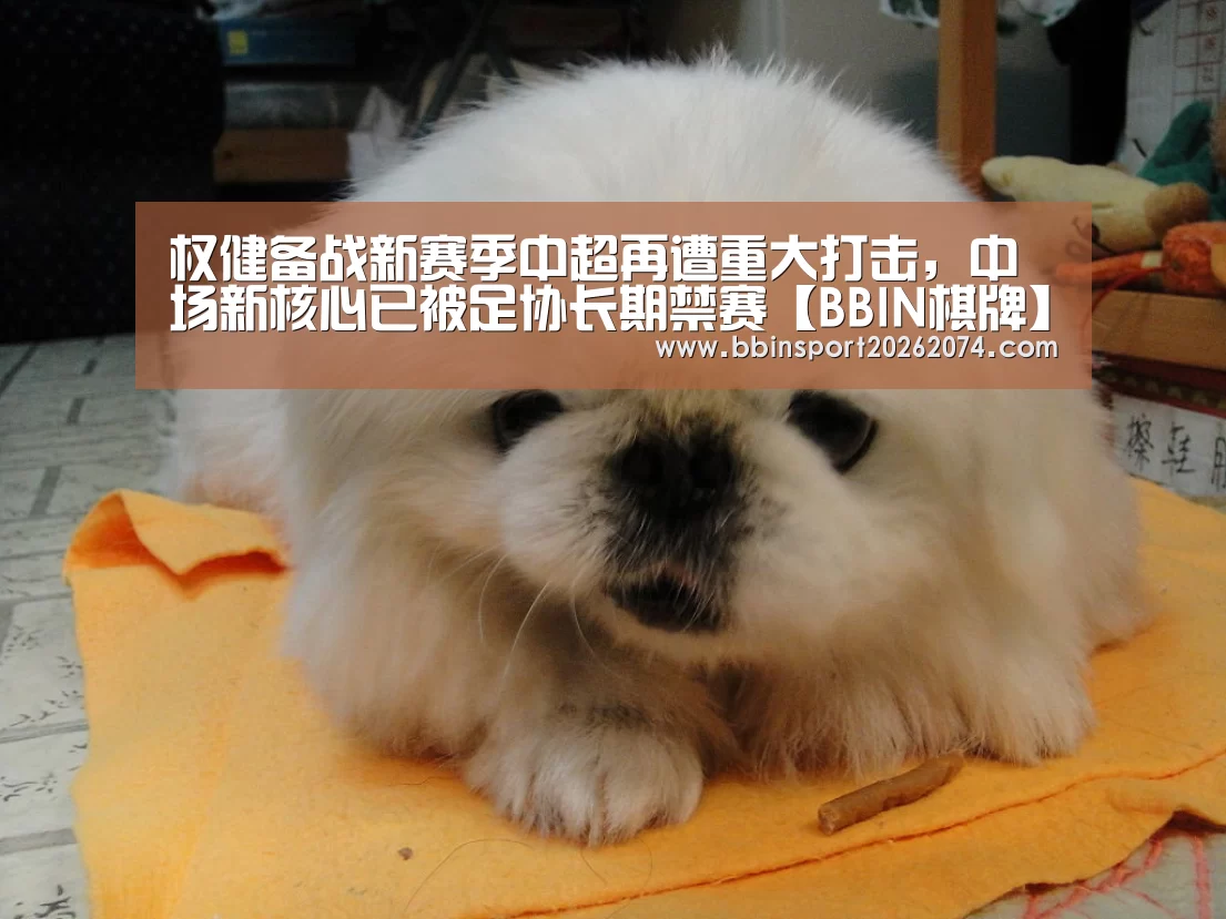 权健备战新赛季中超再遭重大打击,中场新核心已被足协长期禁赛【BBIN棋牌】(图2) BBIN棋牌